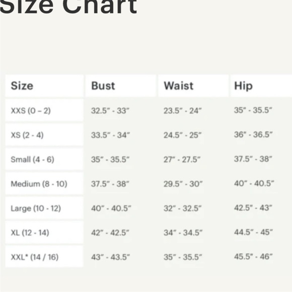 Dress the Population Anabel Embroidered Bustier Floral Sheer Lace Gown Black XXS - Picture 15 of 15